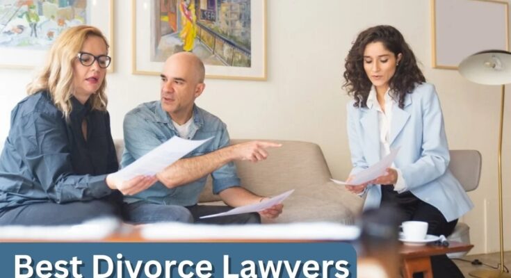 Top 10 Divorce Lawyers in the USA: Who to Trust with Your Case